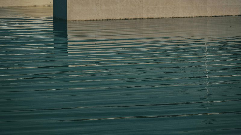 Gina Whitfield Made $32,000 a Year and Assumed She Qualified for Nothing — She Was Wrong